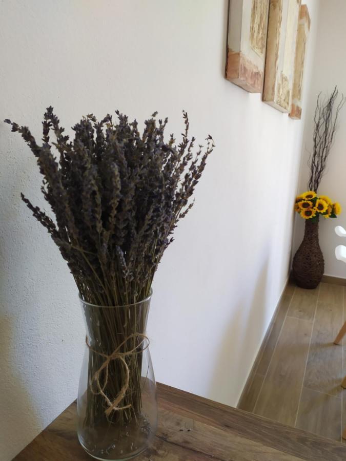 Apartamentos Xert Escapadas En Castellon Cerca De Morella Y Peniscola Chert Sant Mateu Buitenkant foto